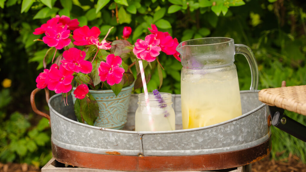 Homemade lemonade recipe outside
