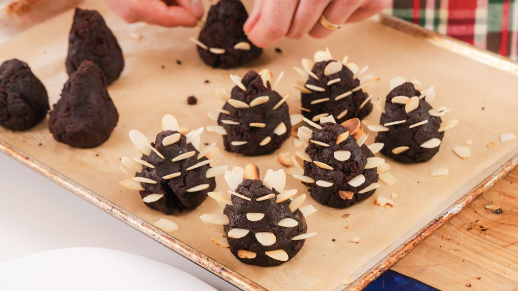 Chocolate Brownie Almond Pinecones