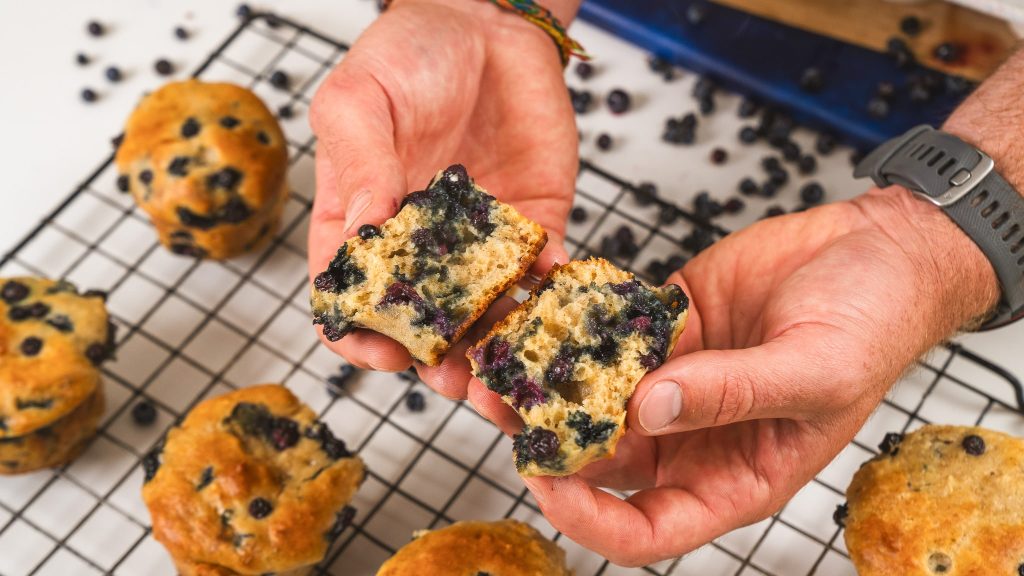 hands holding a cottage cheese blueberry muffin that has been torn apart