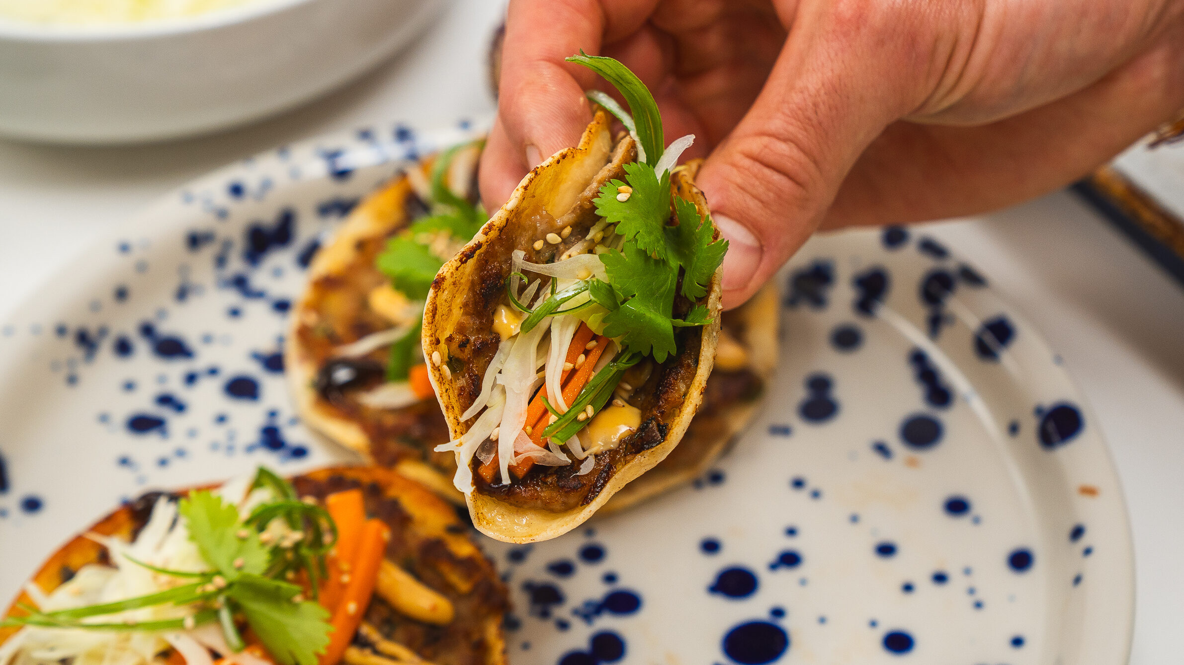 Smash dumpling taco folded and ready to eat.
